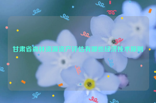 甘肅省森林資源資產(chǎn)評估有哪些經(jīng)濟(jì)技術(shù)原則