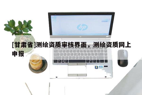 [甘肅省]測繪資質審核界面，測繪資質網上申報
