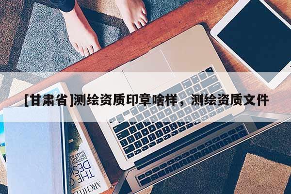 [甘肅省]測繪資質印章啥樣，測繪資質文件