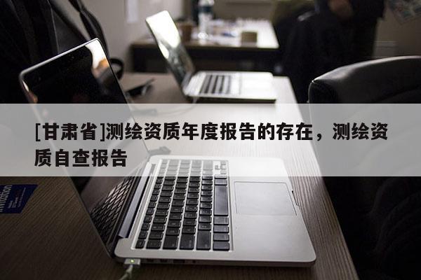 [甘肅省]測繪資質年度報告的存在，測繪資質自查報告