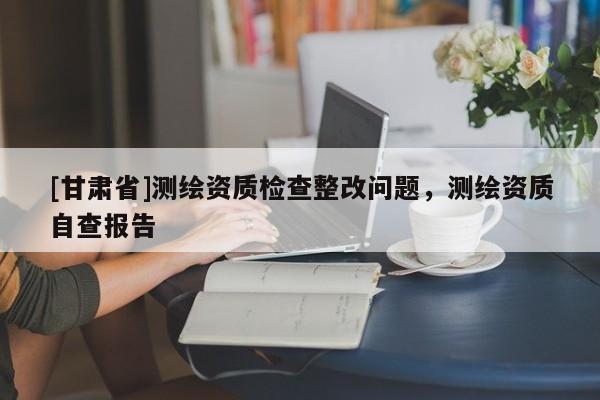 [甘肅省]測繪資質檢查整改問題，測繪資質自查報告