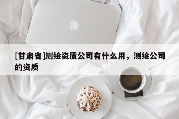 [甘肅省]測繪資質公司有什么用，測繪公司的資質