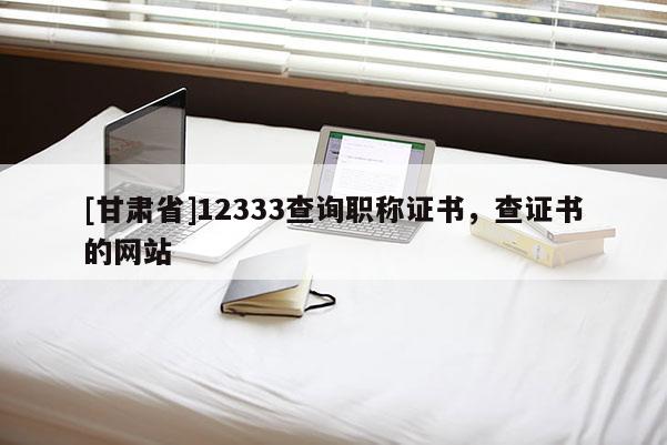 [甘肅省]12333查詢職稱證書，查證書的網(wǎng)站