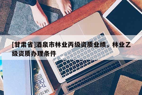 [甘肅省]酒泉市林業丙級資質業績，林業乙級資質辦理條件