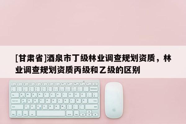 [甘肅省]酒泉市丁級林業調查規劃資質，林業調查規劃資質丙級和乙級的區別